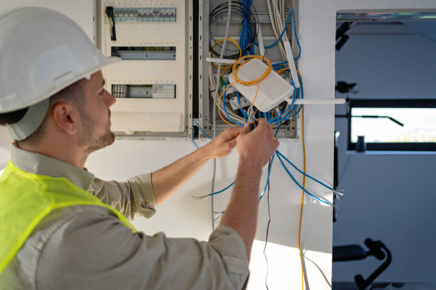 Best Electric Panel Repair  in Whitestown, IN